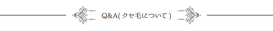 Q＆A(クセ毛について)