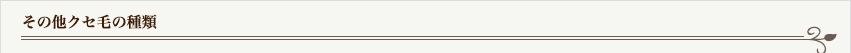 その他クセ毛の種類